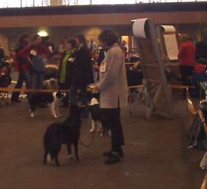 Amidalas erste Ausstellung